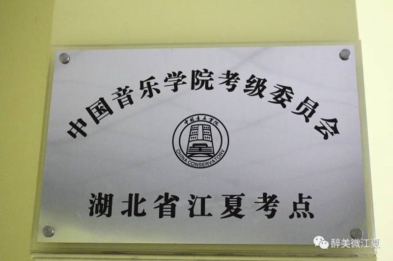淄博音乐家协会:一场艺术的盛宴